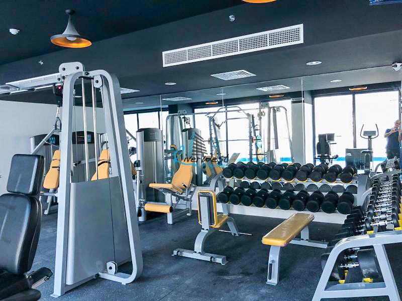 WhatsApp Image 2018-09-23 at 14.10.00 (3)