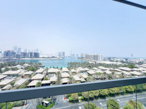 WhatsApp Image 2025-08-06 at 11.21.01